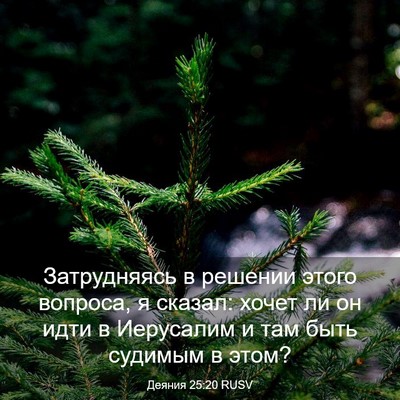 Picture 03 - Деяния 25:20 RUSV - Затрудняясь в решении - Bible Verse Picture