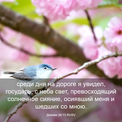 Picture 03 - Деяния 26:13 RUSV - среди дня на дороге я - Bible Verse Picture