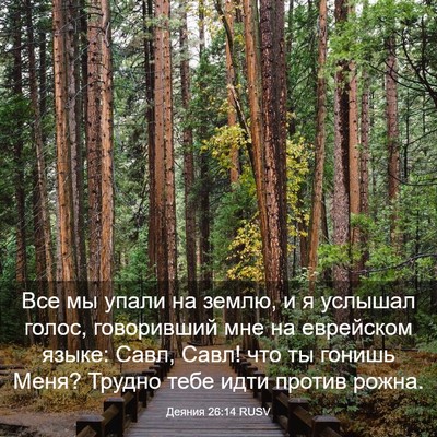 Picture 03 - Деяния 26:14 RUSV - Все мы упали на землю, и я - Bible Verse Picture