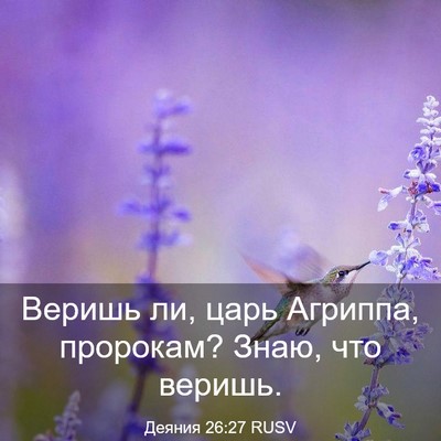 Picture 03 - Деяния 26:27 RUSV - Веришь ли, царь Агриппа, - Bible Verse Picture