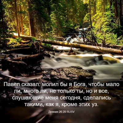Picture 03 - Деяния 26:29 RUSV - Павел сказал: молил бы я - Bible Verse Picture