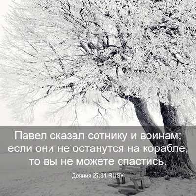 Picture 03 - Деяния 27:31 RUSV - Павел сказал сотнику и - Bible Verse Picture
