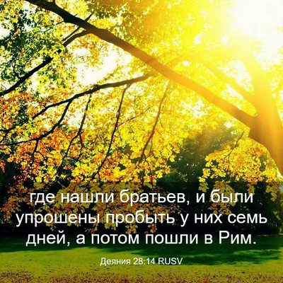Picture 03 - Деяния 28:14 RUSV - где нашли братьев, и были - Bible Verse Picture