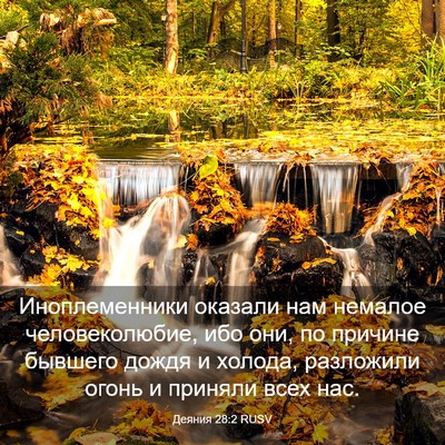 Picture 03 - Деяния 28:2 RUSV - Иноплеменники оказали нам - Bible Verse Picture