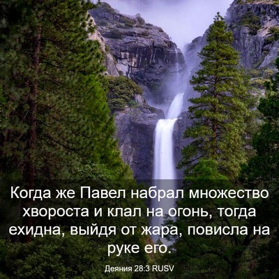 Picture 03 - Деяния 28:3 RUSV - Когда же Павел набрал - Bible Verse Picture