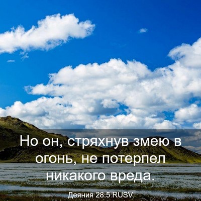 Picture 03 - Деяния 28:5 RUSV - Но он, стряхнув змею в - Bible Verse Picture