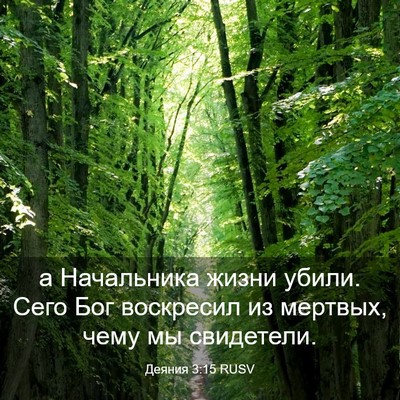 Picture 03 - Деяния 3:15 RUSV - а Начальника жизни убили. - Bible Verse Picture