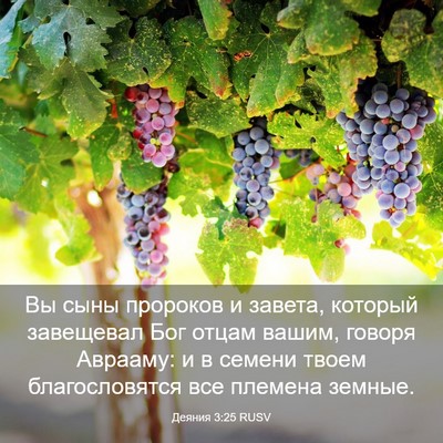 Picture 03 - Деяния 3:25 RUSV - Вы сыны пророков и завета, - Bible Verse Picture