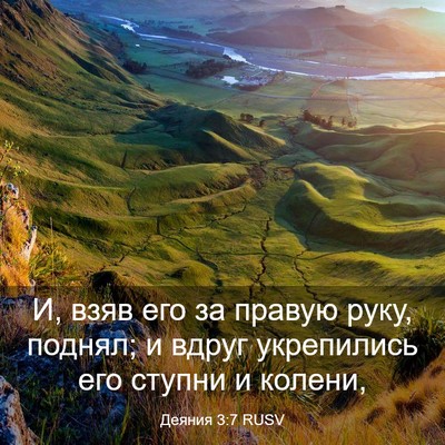 Picture 03 - Деяния 3:7 RUSV - И, взяв его за правую руку, - Bible Verse Picture