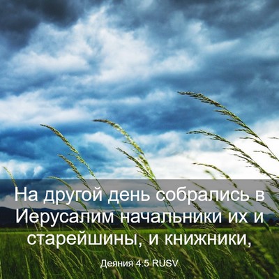 Picture 03 - Деяния 4:5 RUSV - На другой день собрались в - Bible Verse Picture