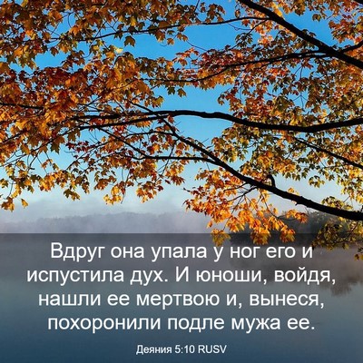 Picture 03 - Деяния 5:10 RUSV - Вдруг она упала у ног его и - Bible Verse Picture