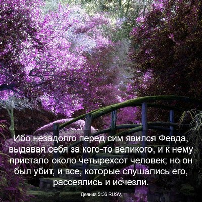 Picture 03 - Деяния 5:36 RUSV - Ибо незадолго перед сим - Bible Verse Picture