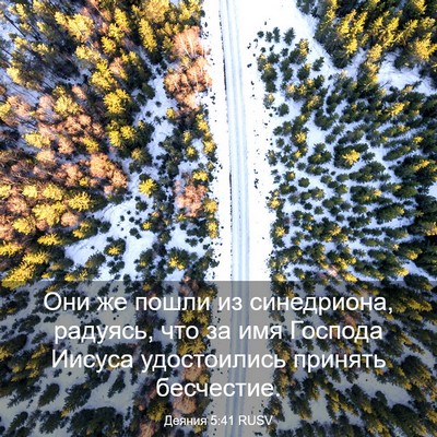 Picture 03 - Деяния 5:41 RUSV - Они же пошли из синедриона, - Bible Verse Picture