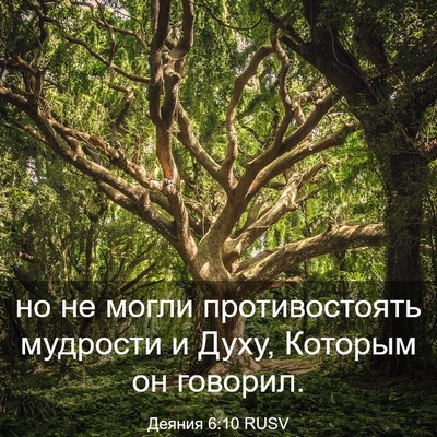 Picture 03 - Деяния 6:10 RUSV - но не могли противостоять - Bible Verse Picture