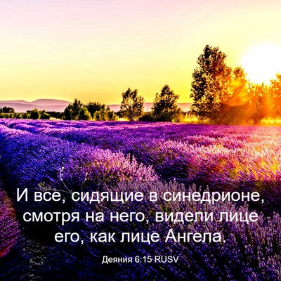 Picture 03 - Деяния 6:15 RUSV - И все, сидящие в - Bible Verse Picture