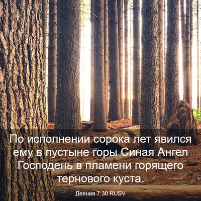 Picture 03 - Деяния 7:30 RUSV - По исполнении сорока лет - Bible Verse Picture