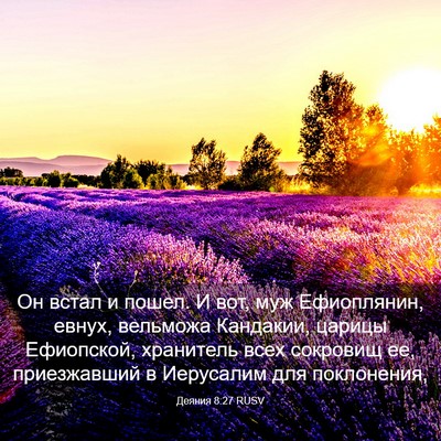 Picture 03 - Деяния 8:27 RUSV - Он встал и пошел. И вот, муж - Bible Verse Picture