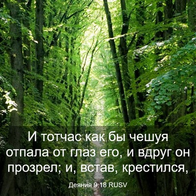 Picture 03 - Деяния 9:18 RUSV - И тотчас как бы чешуя - Bible Verse Picture
