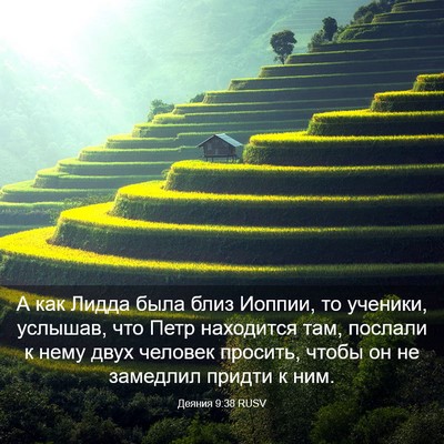 Picture 03 - Деяния 9:38 RUSV - А как Лидда была близ - Bible Verse Picture