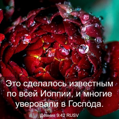 Picture 03 - Деяния 9:42 RUSV - Это сделалось известным по - Bible Verse Picture