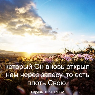 Picture 03 - Евреям 10:20 RUSV - который Он вновь открыл - Bible Verse Picture
