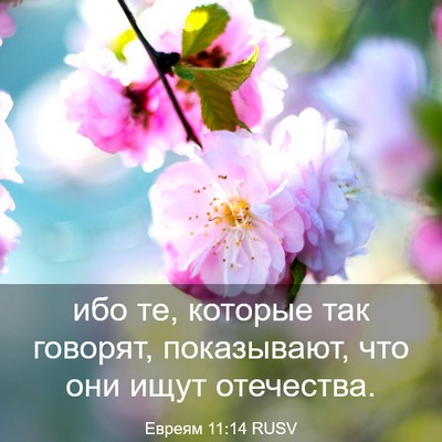 Picture 03 - Евреям 11:14 RUSV - ибо те, которые так - Bible Verse Picture