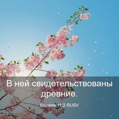 Picture 03 - Евреям 11:2 RUSV - В ней свидетельствованы - Bible Verse Picture
