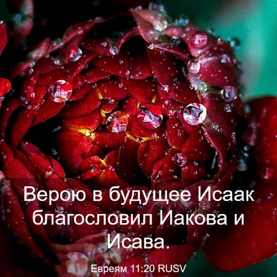 Picture 03 - Евреям 11:20 RUSV - Верою в будущее Исаак - Bible Verse Picture