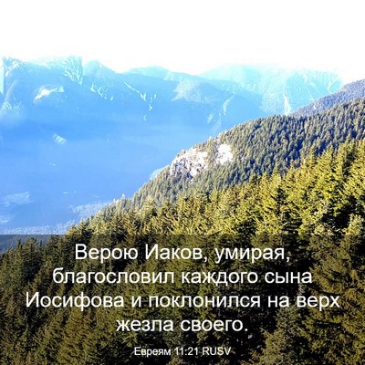 Picture 03 - Евреям 11:21 RUSV - Верою Иаков, умирая, - Bible Verse Picture