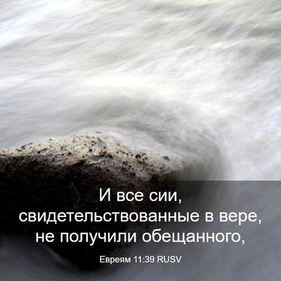 Picture 03 - Евреям 11:39 RUSV - И все сии, - Bible Verse Picture