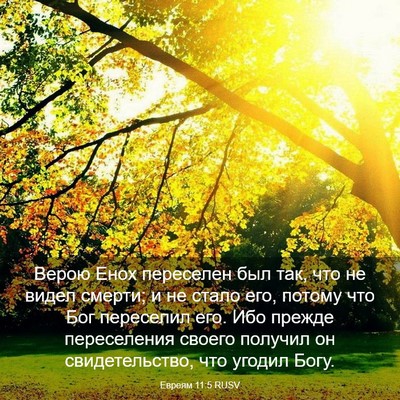 Picture 03 - Евреям 11:5 RUSV - Верою Енох переселен был - Bible Verse Picture