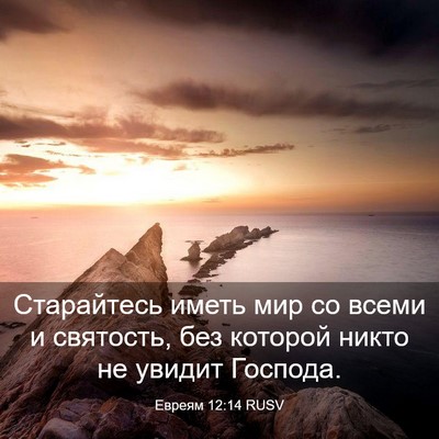 Picture 03 - Евреям 12:14 RUSV - Старайтесь иметь мир со - Bible Verse Picture