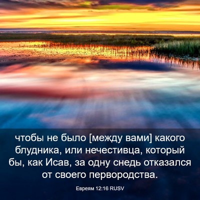 Picture 03 - Евреям 12:16 RUSV - чтобы не было [между вами] - Bible Verse Picture