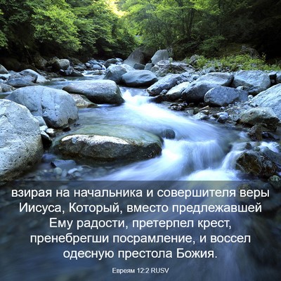 Picture 03 - Евреям 12:2 RUSV - взирая на начальника и - Bible Verse Picture