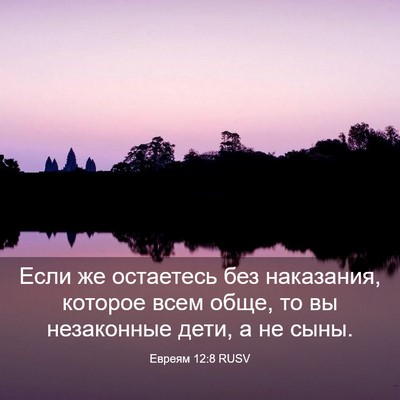 Picture 03 - Евреям 12:8 RUSV - Если же остаетесь без - Bible Verse Picture