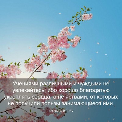 Picture 03 - Евреям 13:9 RUSV - Учениями различными и - Bible Verse Picture
