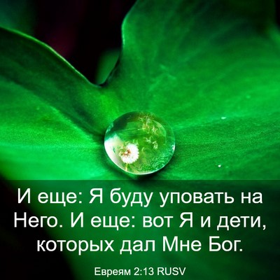 Picture 03 - Евреям 2:13 RUSV - И еще: Я буду уповать на - Bible Verse Picture