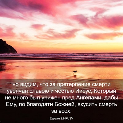 Picture 03 - Евреям 2:9 RUSV - но видим, что за - Bible Verse Picture