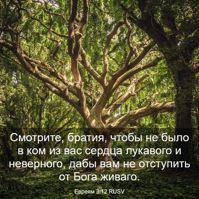 Picture 03 - Евреям 3:12 RUSV - Смотрите, братия, чтобы не - Bible Verse Picture