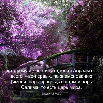Picture 03 - Евреям 7:2 RUSV - которому и десятину - Bible Verse Picture