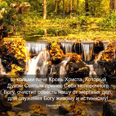 Picture 03 - Евреям 9:14 RUSV - то кольми паче Кровь - Bible Verse Picture