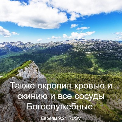 Picture 03 - Евреям 9:21 RUSV - Также окропил кровью и - Bible Verse Picture
