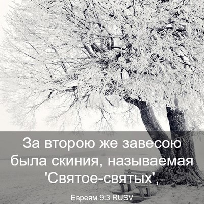 Picture 03 - Евреям 9:3 RUSV - За второю же завесою была - Bible Verse Picture