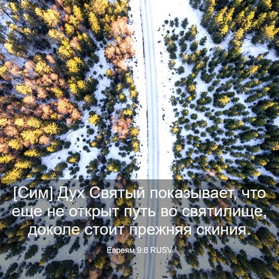 Picture 03 - Евреям 9:8 RUSV - [Сим] Дух Святый - Bible Verse Picture