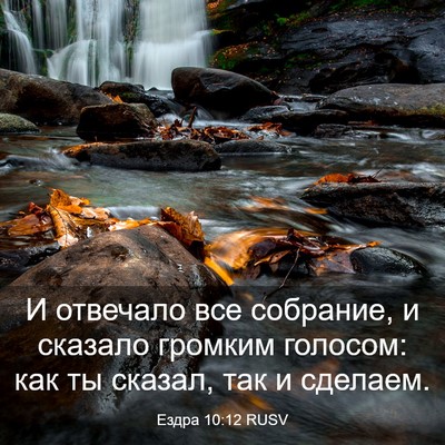 Picture 03 - Ездра 10:12 RUSV - И отвечало все собрание, и - Bible Verse Picture