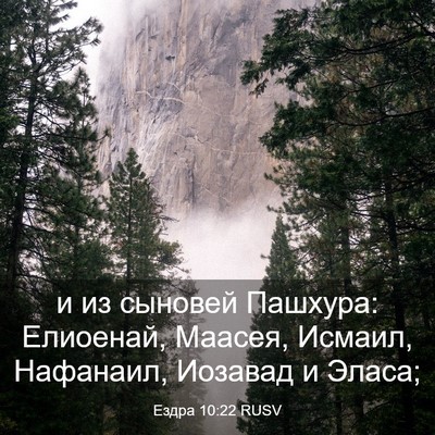 Picture 03 - Ездра 10:22 RUSV - и из сыновей Пашхура: - Bible Verse Picture