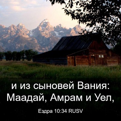 Picture 03 - Ездра 10:34 RUSV - и из сыновей Вания: Маадай, - Bible Verse Picture