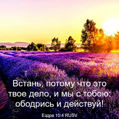 Picture 03 - Ездра 10:4 RUSV - Встань, потому что это твое - Bible Verse Picture
