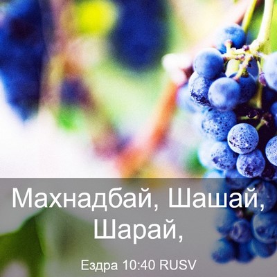 Picture 03 - Ездра 10:40 RUSV - Махнадбай, Шашай, - Bible Verse Picture