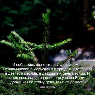 Picture 03 - Ездра 10:9 RUSV - И собрались все жители - Bible Verse Picture